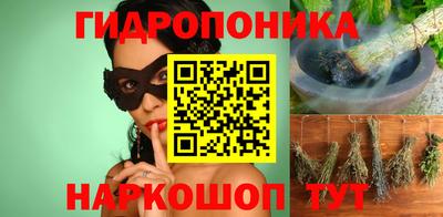 индика Нальчик