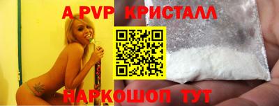 индика Нальчик