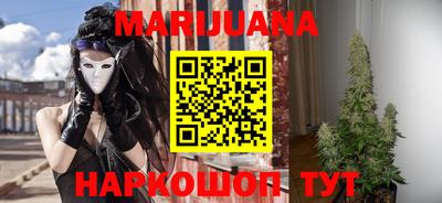 индика Нальчик
