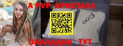 индика Нальчик