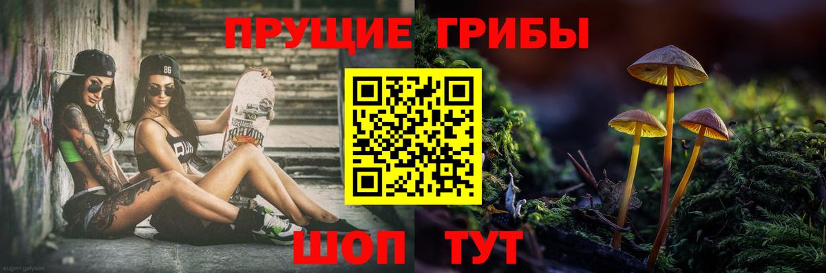 где можно купить   Вход с VPN  Галлюциногенные грибы прущие грибы  Ставрополь  Галлюциногенные грибы MAGIC MUSHROOMS 